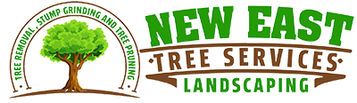 NEW EAST TREE SERVICES