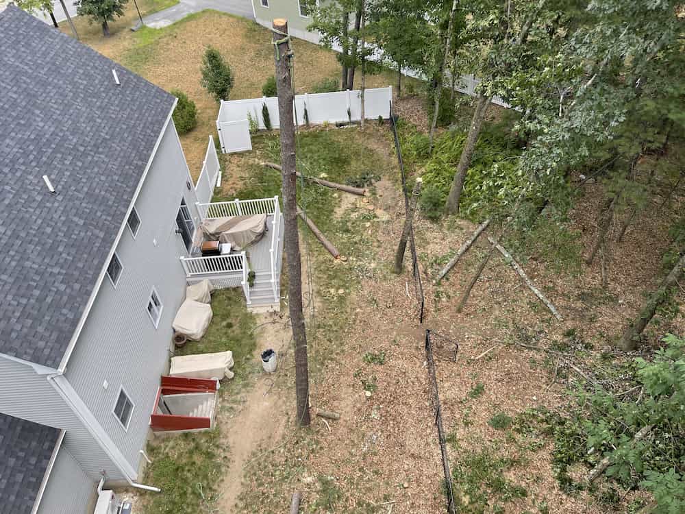 Stairs Services in Weston NEW EAST TREE SERVICES